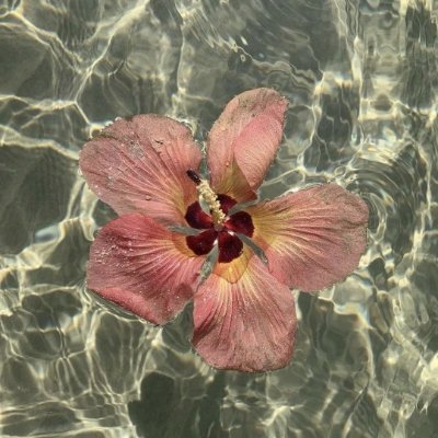 fafadila01's profile picture. gt var