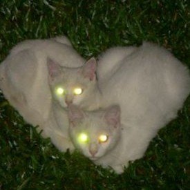 setiadi_adi2's profile picture. 