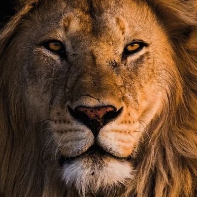 em52732's profile picture. {Official Private Account}