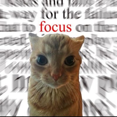 focuss666's profile picture. 19y @foocusssj