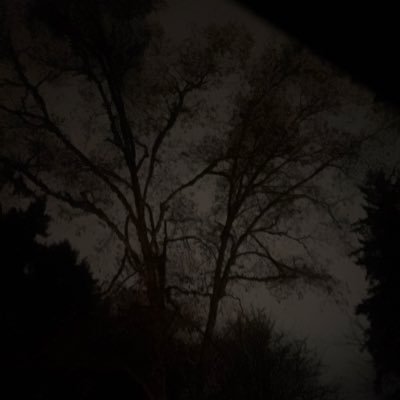 trzpn's profile picture. 18 saint