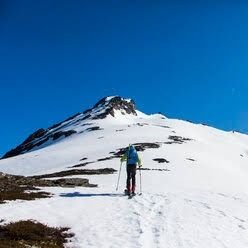 Alabad_Ayat's profile picture. 