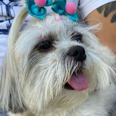 tiafatima13's profile picture. Abrir  sala para Cometar Reality  e votação