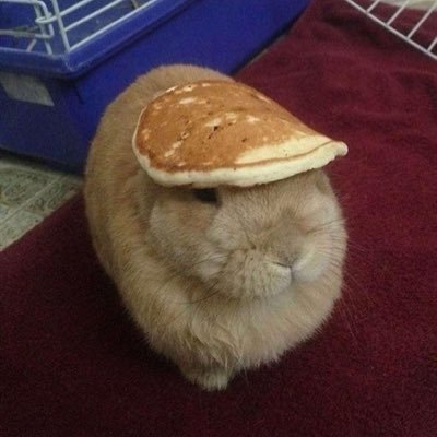 A60multimonster's profile picture. a “thing” who traces and make stuff.                                                  tiktok : https://t.co/mOdsaPT9fD