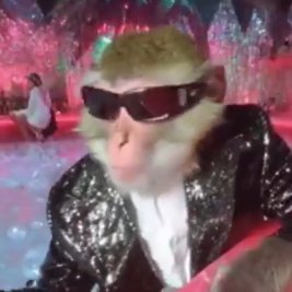 NGCOOKER's profile picture. Web 3