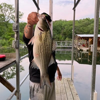 Countyroad69's profile picture. #Americafirst 🇺🇸 catholic diecommiescum🖤. born and raised in Sin City