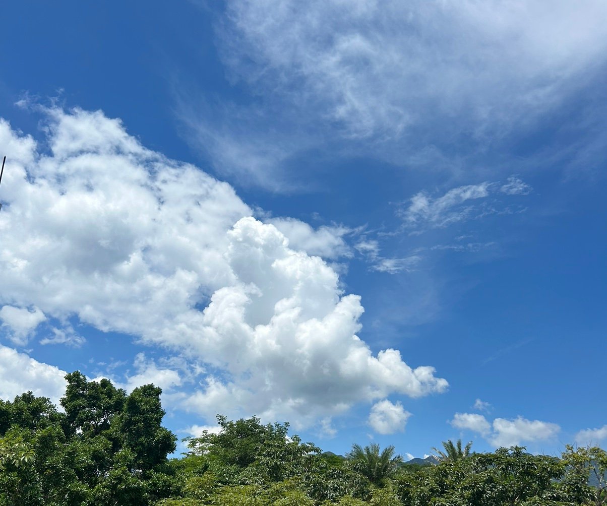 Chengwei1766's profile picture. 如果可以，那就一直坚持。