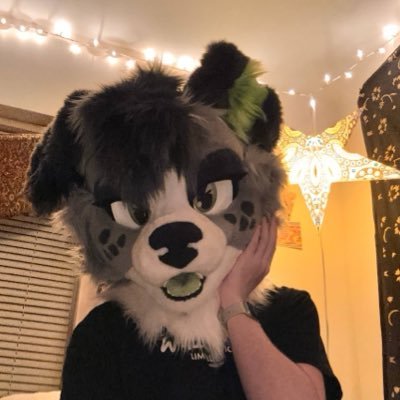 CollieChar's profile picture. 21 // He/they // Med bio student 🧬🔬// Award-winning puppy 🩺🤍 // Sweater collector // Pro-therian // Banner @Tetrifur //🪡🧵 @HybridLFursuits // 🔞‼️