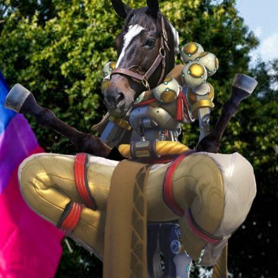 zenupdat's profile picture. 