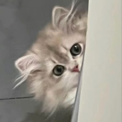 tx2hyun's profile picture. #영서 라는 별이 담긴 보석함이 | 𝐟𝐚𝐧 𝐚𝐜𝐜                          
25 . 11 . 17  • one more time •  COMEBACK