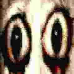 storkiiofficial's profile picture. poc (black)