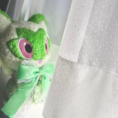 Nyaoha_to_akiha's profile picture. ぬい活初心者🔰akihaです🙇‍♂️ 大好きなポケモン達と過ごす日々を記録するべく活動中！メインはニャオハのつゆちゃんですが、他の子の写真も投稿しています📸 現在ポケぬいアカウントを片っ端からフォロー中！まだの方はフォロバにて！🤝 その他諸々はこっち➡️@nemchama_prsk