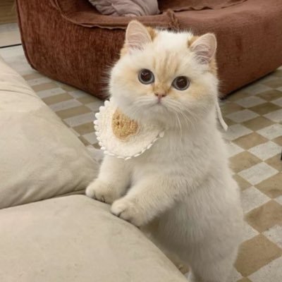 Ven_2002's profile picture. What you have carried in your mind about the world is what you will see around the world.