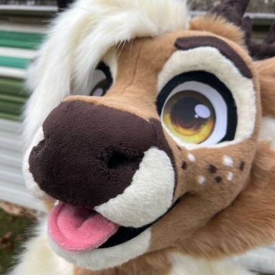 DeerLoaf's profile picture. ♂️ | 24 | Bi | WVU Alum | VR | 🔞 | posts a lot about sports | 🪡: @LilySuits