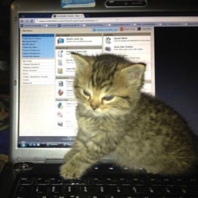 hanyszuu's profile picture. 