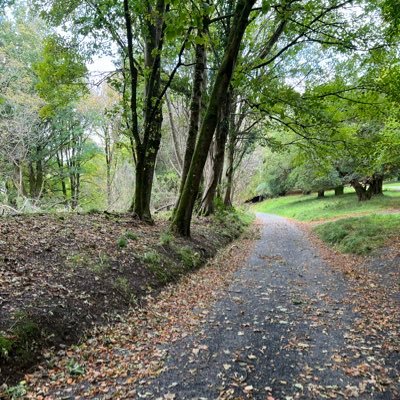 shane_fxx's profile picture. 