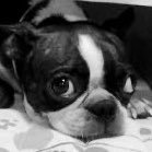 z7lsteYxjdJRZuf's profile picture. ただバンタンが好きなひと