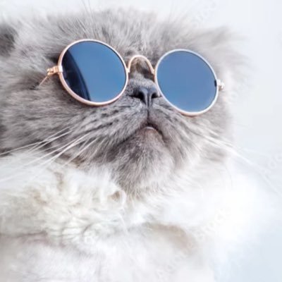 ffyh7ytpsh's profile picture. 