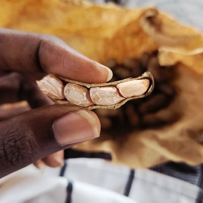 universelle19's profile picture. musulman, soufi ,baye fall, entrepreneur
 passion :lecture, aventure

le pardon est une 🚪 ouverte vers la paix et le bonheur.