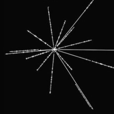 gkdfjsdgk's profile picture. 17685927867546871