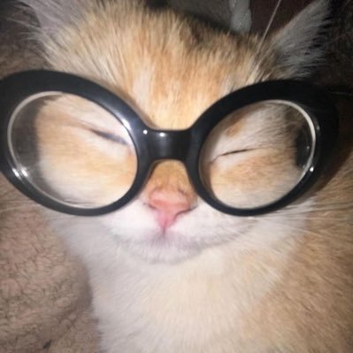 lucihtml's profile picture. 