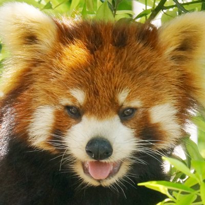 suwe_zo's profile picture. 老眼が辛い模型&写真が趣味のおじさんです 相変わらずX(旧Twitter)の機能使いこなしは無理っす