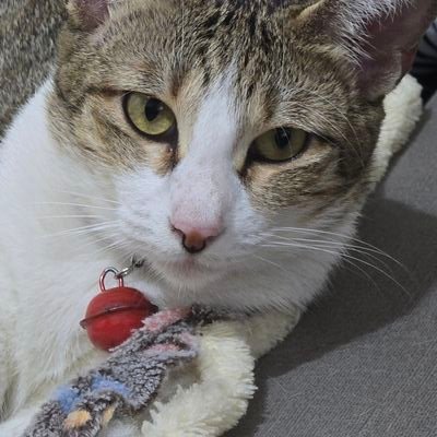 Vine_2324's profile picture. previous account got suspended
(@sshane907)