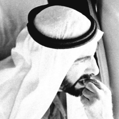 El7vi's profile picture. 