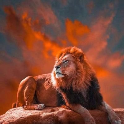 AmatPoster's profile picture. hanya segelintir orang yang sanggup intruksi ambil kertas dan alat tulis.kebebasan Pendidikan adalah Kemenangan Nasional.Q.S13:2. 17:1-111.🌊🙃🖤💫⚡🪐🦅QS5:55.