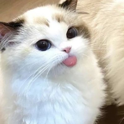 Real_BYST's profile picture. Flowers = Lemme eat you up