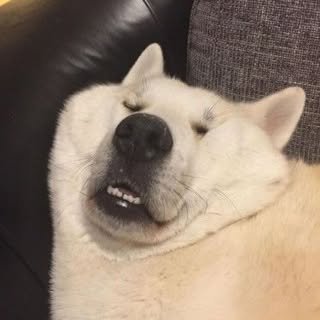 namj0onz's profile picture. not real - #RM of #BTS