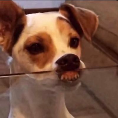 miserableweirdo's profile picture. Sinta-se em casa, mas lembre-se que não está.