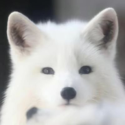 Blake7587292440's profile picture. 