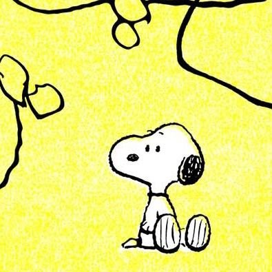 5656ppp's profile picture. you're gonna carry that weight.