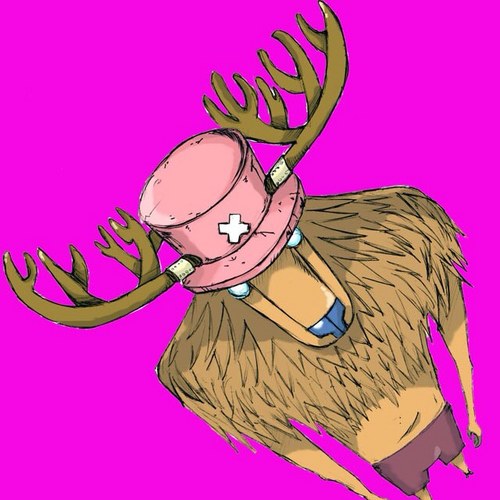 maicoro425's profile picture. 