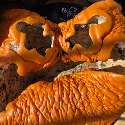 theguythatison's profile picture. Eating food sometimes