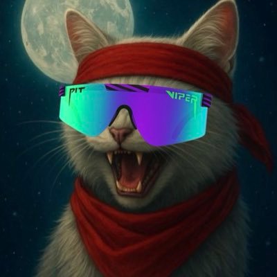 BassedBrego's profile picture. BregoTheWhite. $mooncat mafia 🩸 member. pure 🩸 not vaxxed. #S4L 🫘