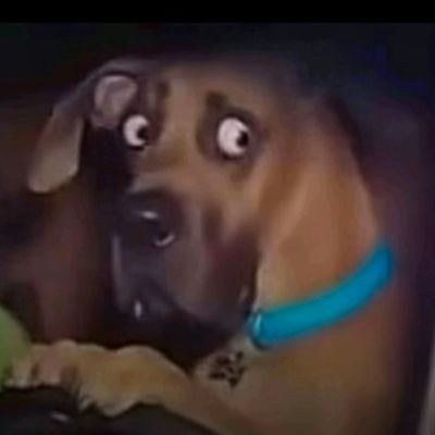 Argueta_25's profile picture. el que te ofendió en los comentarios 🤣