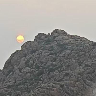 hai_yu26028's profile picture. 