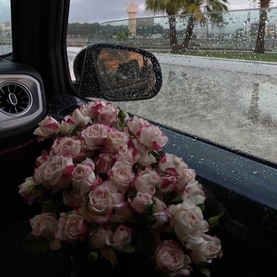 shmufa_'s profile picture. 