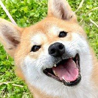 kanekichi_fly's profile picture. 関西在住のFPV初心者です✨️早くWTWの大会に出れるレベルになりたいなぁ✨️
/二等無人航空機操縦士/4アマ/3陸特