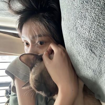 beedrotting's profile picture. born weird