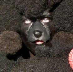 hardtype_eraser's profile picture. 