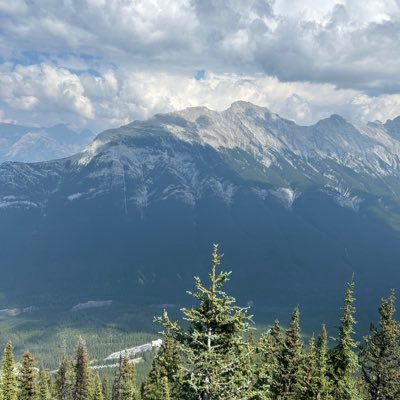 StacyRandy's profile picture. music cooking and sports no DM please go hogs