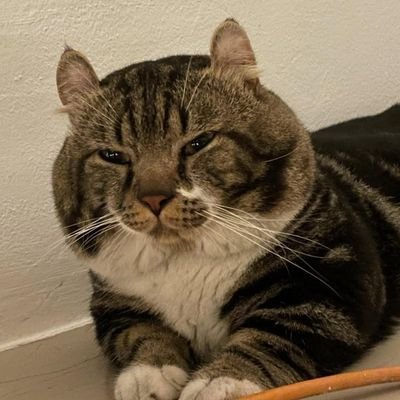 Mmayam2's profile picture. 