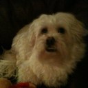 Anthony Fabiano - @Afabiano95 - Twitter