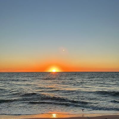 Captein50746's profile picture. 