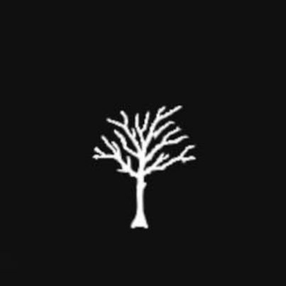 BENENZO_24's profile picture. 24