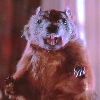 Whorror_Fiend's profile picture. Boy mom², Wife, #Horror movie lover🧟‍♀️ 🎬, Thrash metal + Punk rock=  Life! 🤘 #MutantFam #Shitbinge