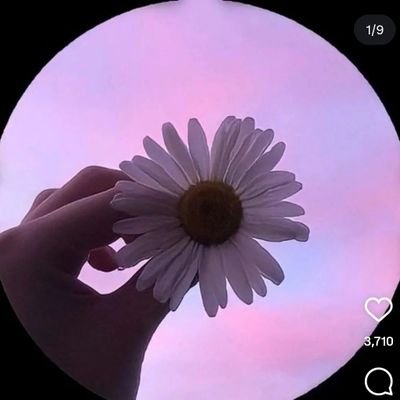 IkraKhan1212959's profile picture. 